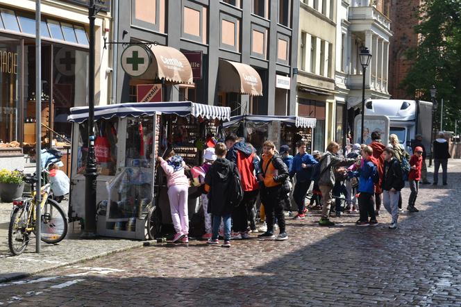 Tłumy na toruńskiej starówce. Wycieczki szkolne ruszyły do grodu Kopernika