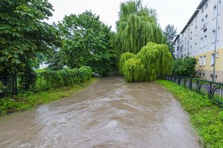 Alarm w Elblągu. Po opadach deszczu podnosi się stan wody w rzece Kumieli. Służby w gotowości