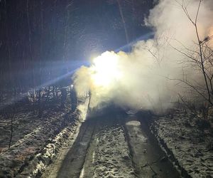 Zagadkowy pożar auta w lesie