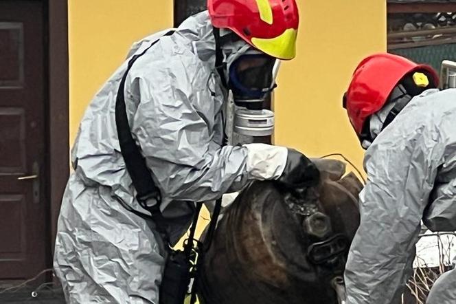 Tajemnicze beczki w Rytrze.  W akcji strażacy z Nowego Sącza 