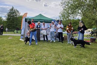 Festiwal Przyjaciół Zwierząt w Olsztynie. Park Centralny opanowały radosne pieski