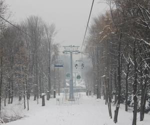 Elka w Parku Śląskim. Widok z góry