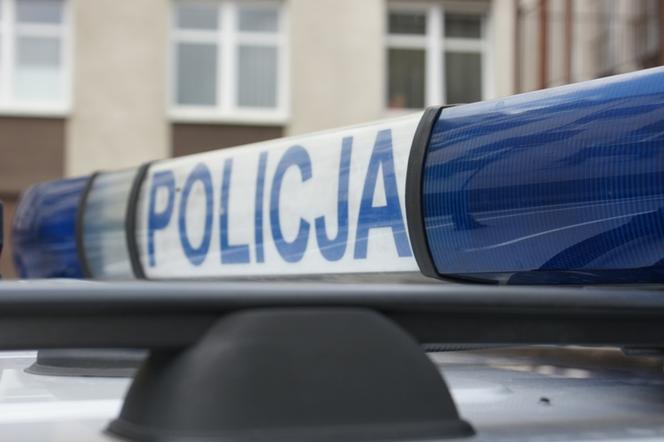 Elbląska policja