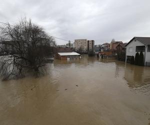 Pogodowe szaleństwo w Europie. Wiosna w styczniu, ulewy i powodzie wyparły śnieg i mróz