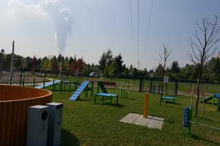 Park psiej aktywności w Sosnowcu