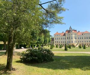 Pałac w Rogalinie zachwyca turystów. Znajduje się 20 kilometrów od Poznania 