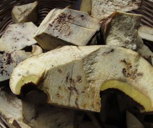 Jak poznać, czy grzyb ma robaki? Naucz się prostych metod, które pozwolą ci rozpoznać robaczywe grzyby