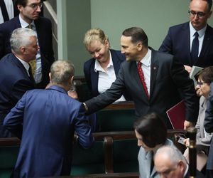 Wystapienie Radosława Sikorskiego w Sejmie 23.04.2025