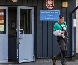 Potworny los zwierząt w Idzbarku. To była umieralnia. Gospodarz usłyszał zarzuty!