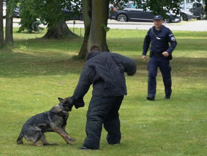 Policjanci i ich psy służbowe walczyli o tytuł! Kto okazał się najlepszy?