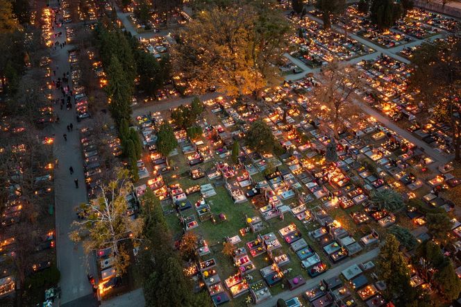 Tysiące zniczy rozświetliło polskie cmentarze. Niezwykły widok po zmroku