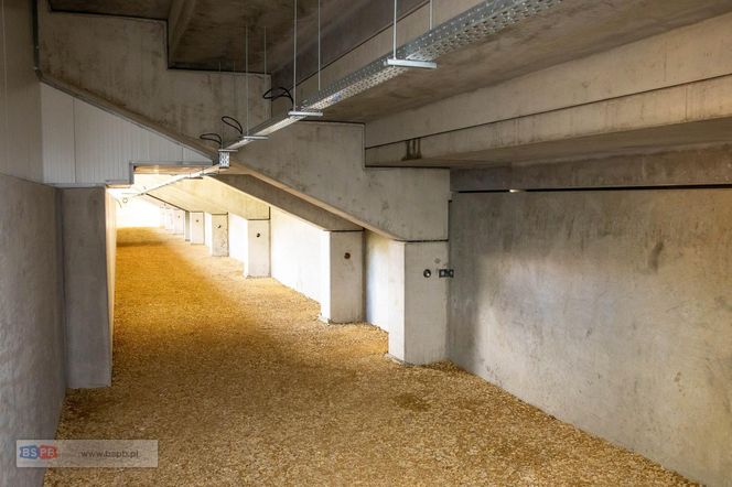 Nowy stadion Polonii Bytom coraz bliżej. Znamy nowe terminy i decyzję Komisji Licencyjnej