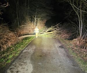 Niebezpieczne podmuchy wiatru w Łódzkiem. Strażacy interweniowali 140 razy