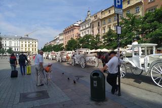 Ruch turystyczny w Krakowie na półmetku wakacji nadal grubo poniżej oczekiwań
