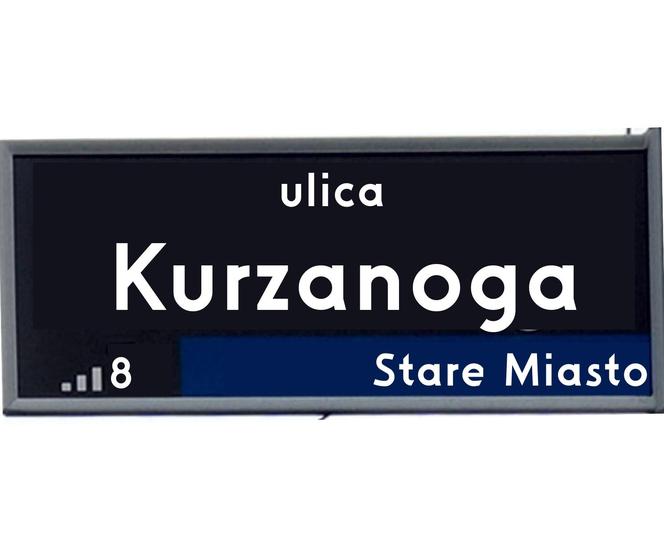 Kurzanoga