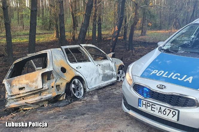 Po uderzeniu w drzewo wzniecił pożar lasu. Kierowca Volkswagena prowadził pod wpływem