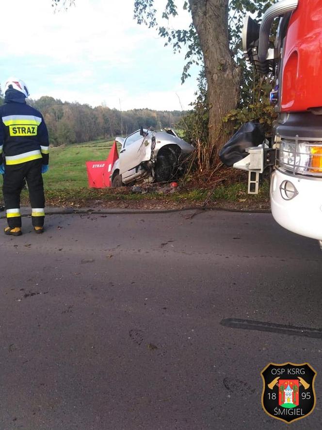 32-latek zginął na drodze! Dramat w powiecie kościańskim 