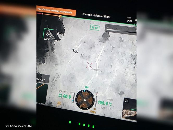 Tragiczny finał poszukiwań grzybiarza w Zakopanem