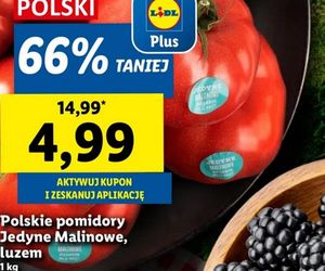  Hitowe promocje w Lidlu