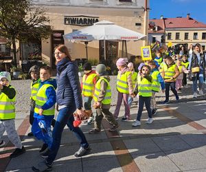 Odblaskowa Szkoła 2025 - akcja w Tarnowie
