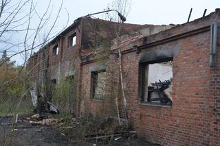 Szereg podpaleń w powiecie chełmskim. Policyjny pies podjął trop za potencjalnym sprawcą