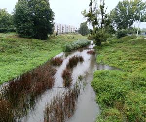 Sytuacja pogodowa we Wrocławiu i okolicach