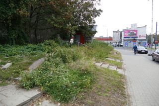 Okrutna śmierć 55-latki! Po wykorzystaniu leżała obnażona w pasie zieleni. Wokół strzępy odzieży