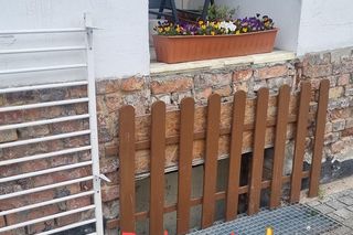 Poznańska kawiarnia z nakazem usunięcia donic z roślinnością sprzed lokalu