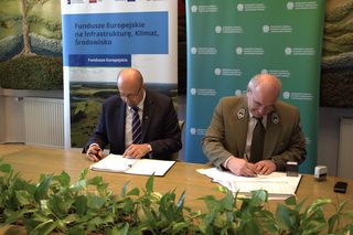 W woj. lubelskim powstanie nowa atrakcja turystyczna. Będzie można chodzić w koronach drzew