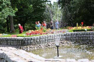 Kwitnący Ogród Botaniczny UMCS w Lublinie