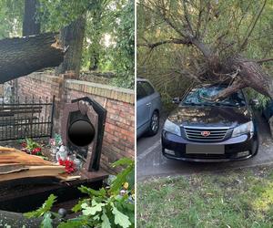 Powalone drzewa zniszczyły cmentarz i miażdżyły samochody