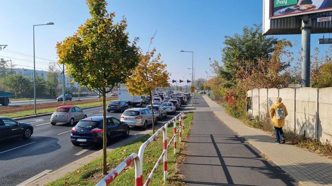 Korki i pełne parkingi. Tak wygląda sobota przed cmentarzem na Junikowie