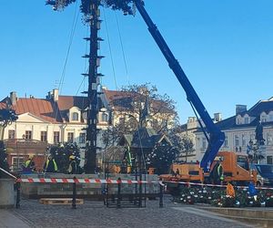 Montaż choinki i Świątecznego Miasteczka w Rzeszowie. Wiemy, jak będzie wyglądać 