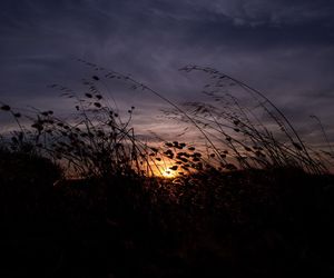 IMGW zapowiada chłodne noce. Przymrozki na południu kraju