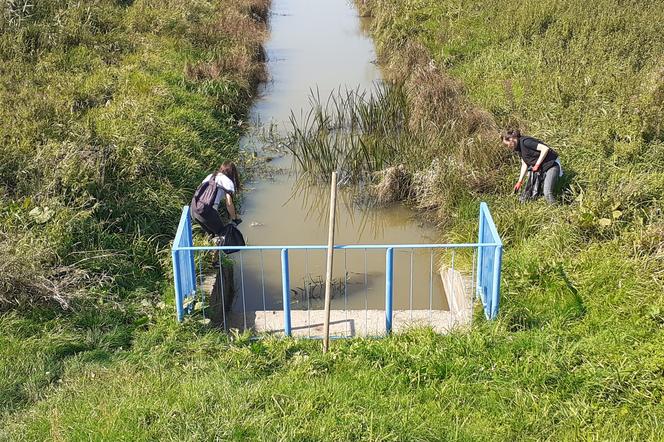 Ostatnio akcja sprzątania okolic Muchawki i brzegów siedleckiego zalewu odbyła się we wrześniu 2020