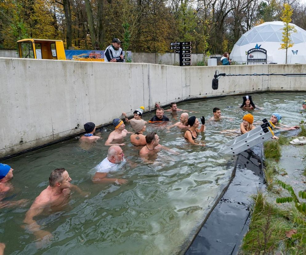 Łódzkie Orientarium zaprasza na wyjątkowe morsowanie