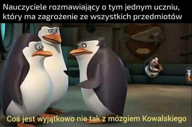 Memy na zakończenie Roku Szkolnego 2023/2024