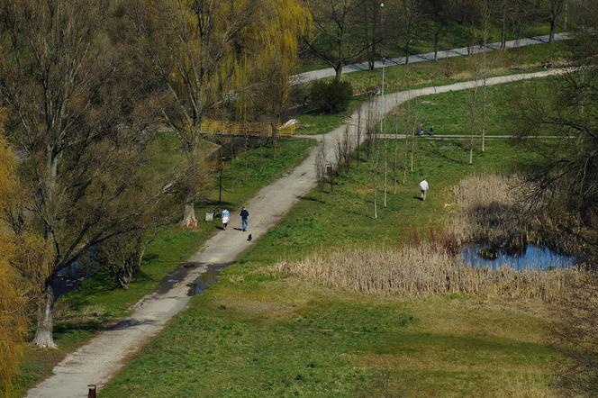 Park Kielczan 