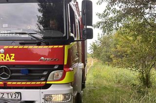 Niecodzienna akcja ratunkowa w powiecie częstochowskim. Mężczyzna ugrzązł w bagnie