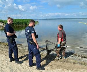 Jezioro Dąbie i śnięte ryby 