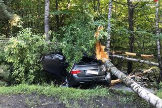 Katowice: Kierowca BMW uderzył w drzewo w Lesie Murckowskim. Jest w stanie ciężkim. 