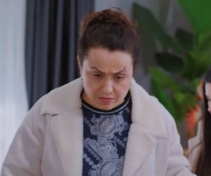 Miłość i nadzieja, odcinek 332. Cavidan, Bahar