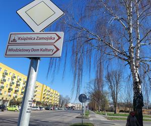 Zamojskie czytelnictwo się zmienia. Zauważono dwa zjawiska