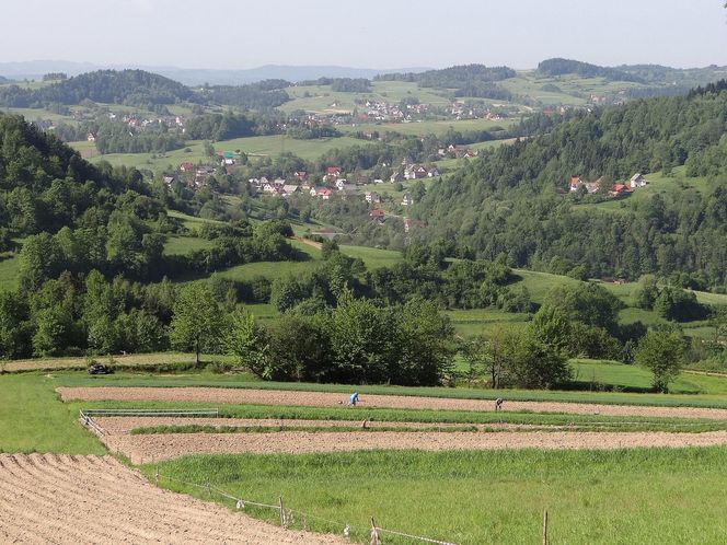 To unikatowa wieś na mapie Małopolski. Grasował w niej słynny zbójnik
