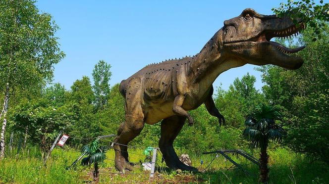 Dinozaury w Polsce. Najlepsze parki dinozaurów w Polsce. Gdzie żyły polskie dinozaury?