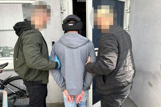 Podpalenia aut w Bydgoszczy. 33-latek aresztowany na trzy miesiące