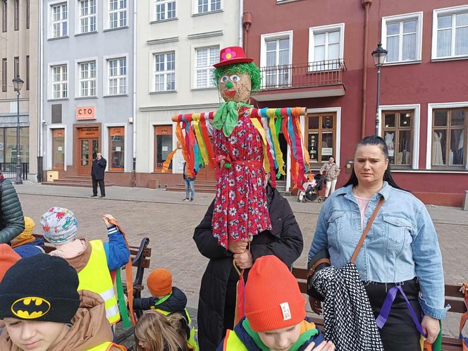 Przemarsz przedszkolaków z marzannami ulicami Grudziądza