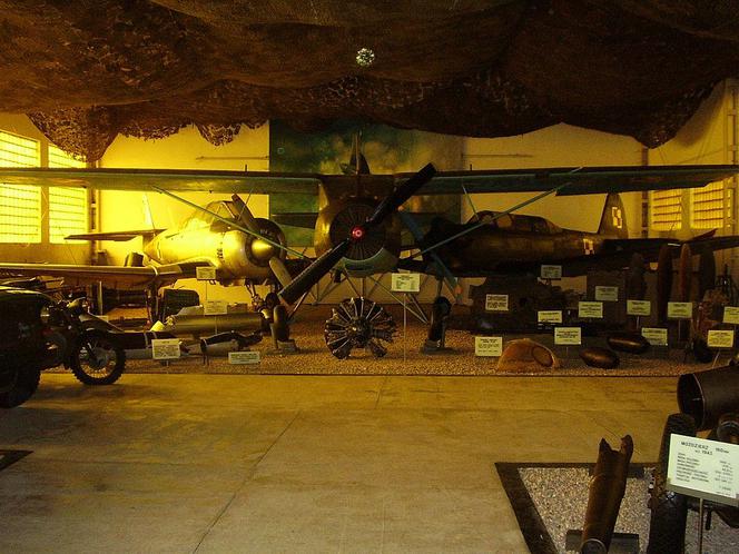 Hangar w muzeum w Drzonowie
