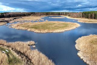 Cud natury ukryty w lesie. 9 wysp na jeziorze niedaleko Świebodzina