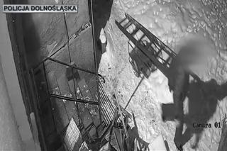 Po włamaniu zapomnieli worka z łupem. Wszystko się nagrało 